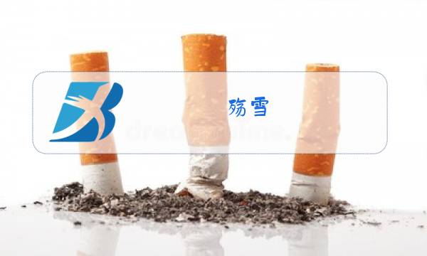 殇雪 云菲菲原唱dj版图片